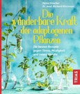 Die wunderbare Kraft der adaptogenen Pflanzen Die wunderbare Kraft der adaptogenen Pflanzen