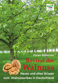 Revival der Walnuss Revival der Walnuss