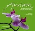 Anima Anima