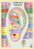 Auriculo Terapia Auriculo Terapia