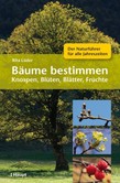 Bäume bestimmen Bäume bestimmen