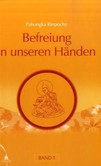 Befreiung in unseren Händen, Band 1 Befreiung in unseren Händen, Band 1