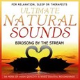 Birdsong by the Stream Audio CD Birdsong by the Stream Audio CD