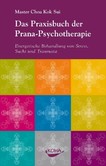 Das Praxisbuch der Pranapsychotherapie Das Praxisbuch der Pranapsychotherapie