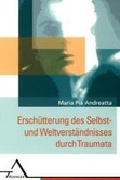 Die Erschütterung des Selbst- und Weltverständnisses durch Traumata Die Erschütterung des Selbst- und Weltverständnisses durch Traumata