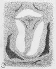 Die Paradoxale Malschule: Der Tierkreis - Skorpion (Postkarte) Die Paradoxale Malschule: Der Tierkreis - Skorpion (Postkarte)