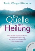 Die Quelle der Heilung, m. Audio-CD Die Quelle der Heilung, m. Audio-CD