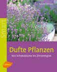 Dufte Pflanzen Dufte Pflanzen