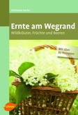 Ernte am Wegrand Ernte am Wegrand