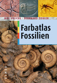 Farbatlas Fossilien Farbatlas Fossilien