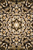 Fuss-Chakra - 4 ELEMENTE & BIENEN Fuss-Chakra - 4 ELEMENTE & BIENEN