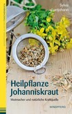 Heilpflanze Johanniskraut Heilpflanze Johanniskraut