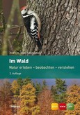 Im Wald Im Wald