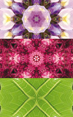 Imagami-EnergieMotiv Strahlung Imagami-EnergieMotiv Strahlung