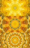 Imagami-EnergieMotiv Tranformation Imagami-EnergieMotiv Tranformation