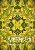 Imagami-Postkarten-Mappe Heilpflanzen (12 imagami Postkarten) Imagami-Postkarten-Mappe Heilpflanzen (12 imagami Postkarten)