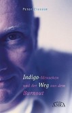 Indigo-Menschen und der Weg aus dem Burnout Indigo-Menschen und der Weg aus dem Burnout