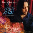 Into the Bliss (CD & DVD) Audio CD Into the Bliss (CD & DVD) Audio CD