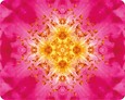 Imagami-Mousepad Heckenrose - Freude Imagami-Mousepad Heckenrose - Freude