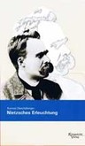 Nietzsches Erleuchtung Nietzsches Erleuchtung