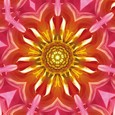 Paradieskarte "Dahlie"