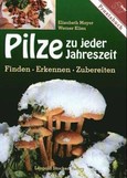 Pilze zu jeder Jahreszeit Pilze zu jeder Jahreszeit