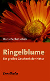 Ringelblume Ringelblume