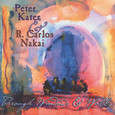 Through Windows and Walls Audio CD Through Windows and Walls Audio CD
