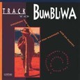 Track to Bumbliwa Audio CD Track to Bumbliwa Audio CD