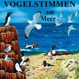 Vogelstimmen am Meer Audio CD Vogelstimmen am Meer Audio CD