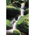 Wasserfall-Poster "Shun Sui"