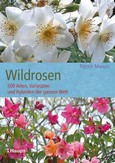 Wildrosen Wildrosen